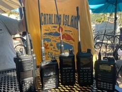 Catalina Island Marathon March 14, 2026 Race Comms